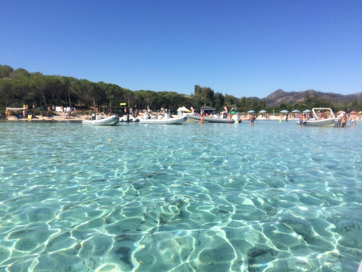 Casa Sul Mare Golfo Dell'Asinara I Lejlighed Porto Torres Eksteriør billede